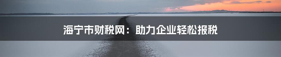 海宁市财税网：助力企业轻松报税