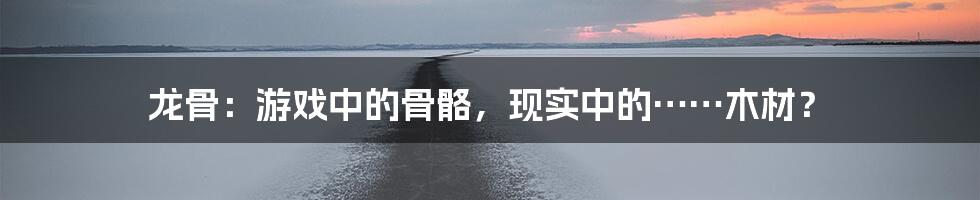 龙骨：游戏中的骨骼，现实中的……木材？