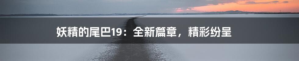 妖精的尾巴19：全新篇章，精彩纷呈