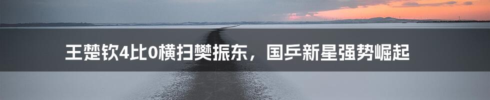 王楚钦4比0横扫樊振东，国乒新星强势崛起