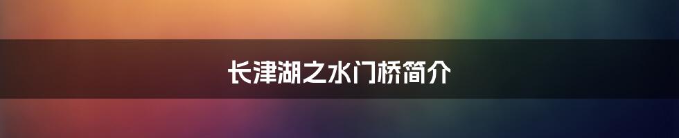 长津湖之水门桥简介