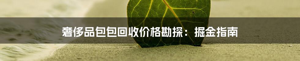 奢侈品包包回收价格勘探：掘金指南