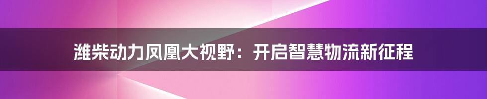 潍柴动力凤凰大视野：开启智慧物流新征程