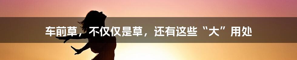 车前草，不仅仅是草，还有这些“大”用处