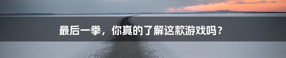 最后一拳，你真的了解这款游戏吗？