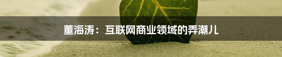 董海涛：互联网商业领域的弄潮儿