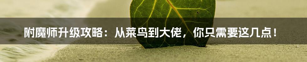 附魔师升级攻略：从菜鸟到大佬，你只需要这几点！