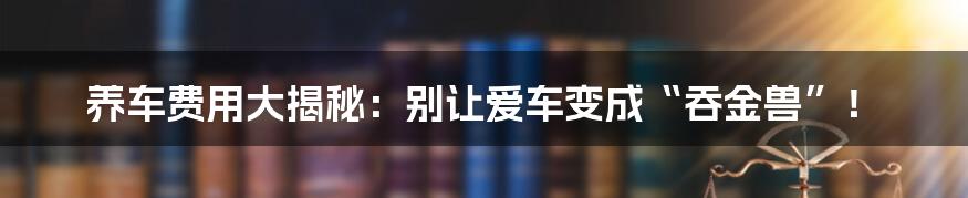 养车费用大揭秘：别让爱车变成“吞金兽”！