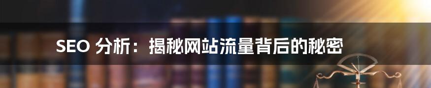 SEO 分析：揭秘网站流量背后的秘密