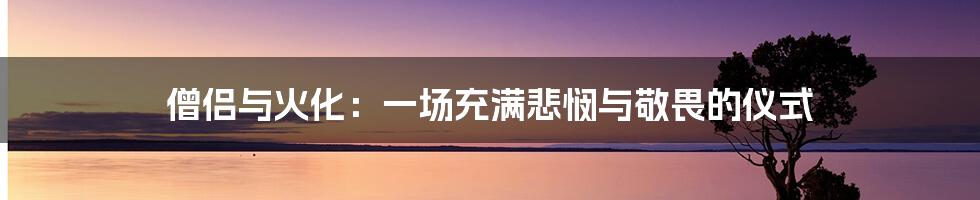 僧侣与火化：一场充满悲悯与敬畏的仪式