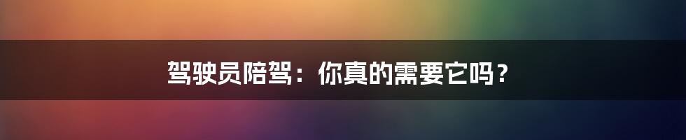 驾驶员陪驾：你真的需要它吗？