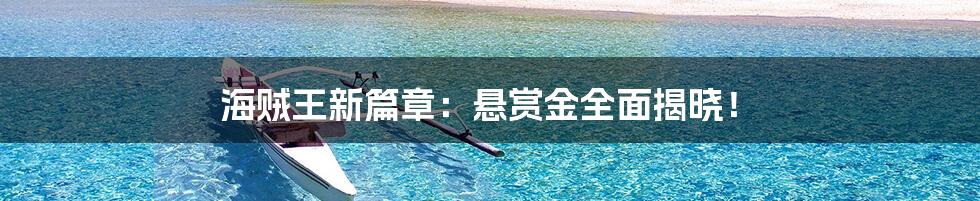 海贼王新篇章：悬赏金全面揭晓！