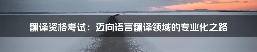 翻译资格考试：迈向语言翻译领域的专业化之路