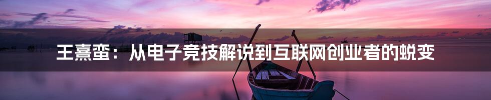 王熹蛮：从电子竞技解说到互联网创业者的蜕变