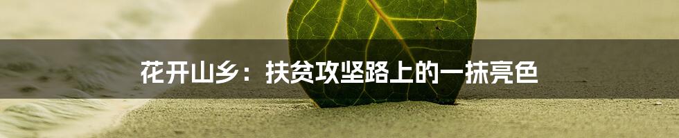 花开山乡：扶贫攻坚路上的一抹亮色