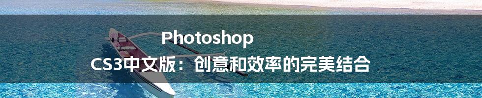 Photoshop CS3中文版：创意和效率的完美结合