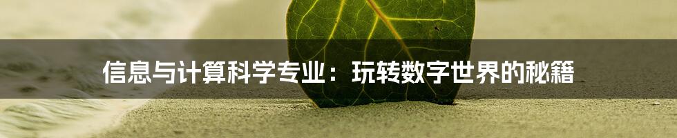 信息与计算科学专业：玩转数字世界的秘籍