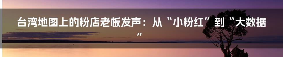 台湾地图上的粉店老板发声：从“小粉红”到“大数据”