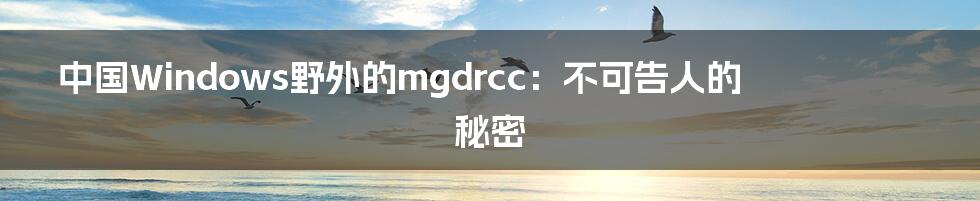 中国Windows野外的mgdrcc：不可告人的秘密