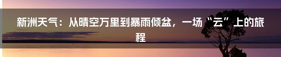 新洲天气：从晴空万里到暴雨倾盆，一场“云”上的旅程