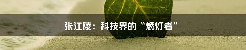 张江陵：科技界的“燃灯者”