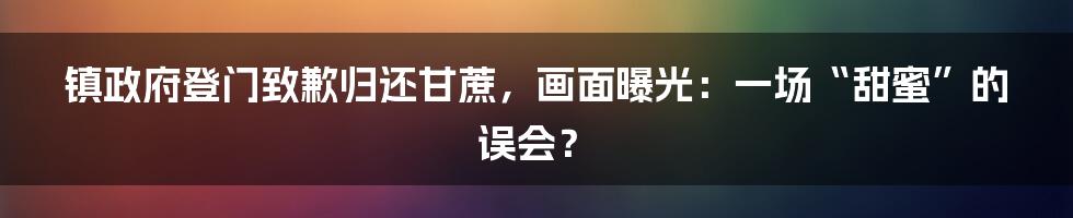 镇政府登门致歉归还甘蔗，画面曝光：一场“甜蜜”的误会？