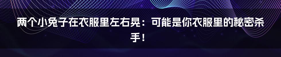 两个小兔子在衣服里左右晃：可能是你衣服里的秘密杀手！