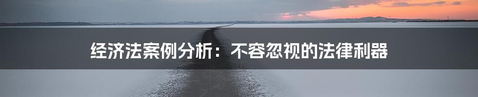 经济法案例分析：不容忽视的法律利器