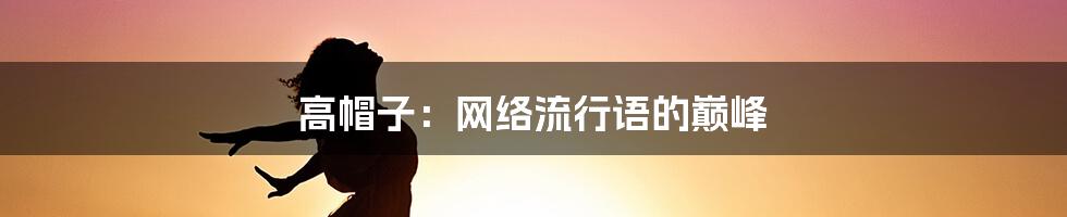 高帽子：网络流行语的巅峰