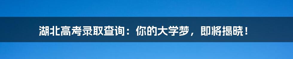 湖北高考录取查询：你的大学梦，即将揭晓！