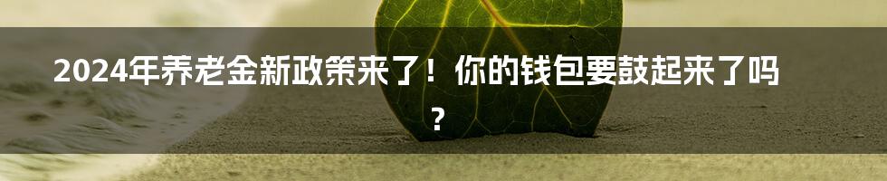 2024年养老金新政策来了！你的钱包要鼓起来了吗？