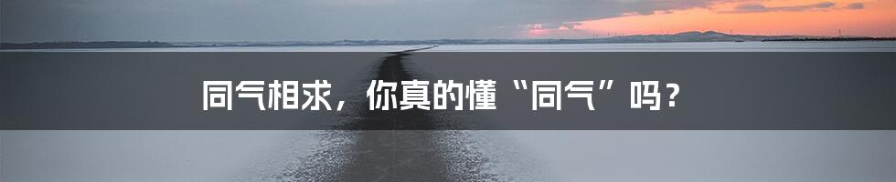 同气相求，你真的懂“同气”吗？