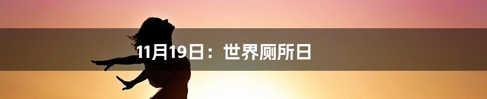 11月19日：世界厕所日