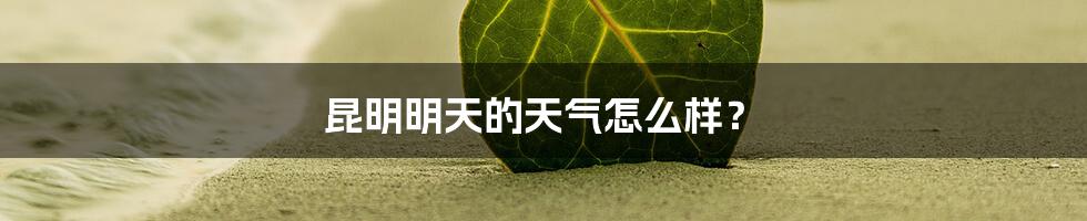 昆明明天的天气怎么样？