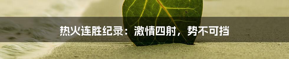 热火连胜纪录：激情四射，势不可挡