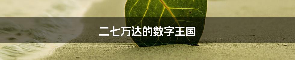 二七万达的数字王国