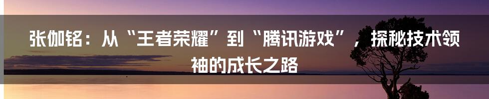 张伽铭：从“王者荣耀”到“腾讯游戏”，探秘技术领袖的成长之路