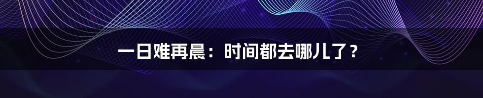 一日难再晨：时间都去哪儿了？