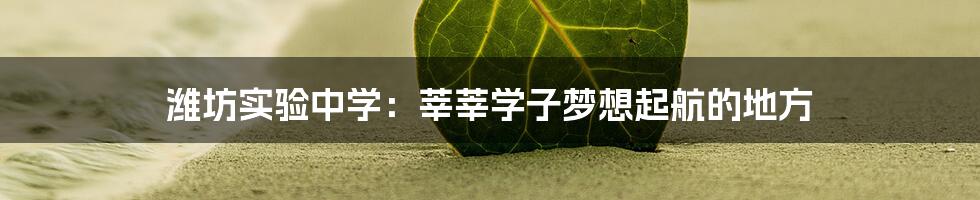 潍坊实验中学：莘莘学子梦想起航的地方