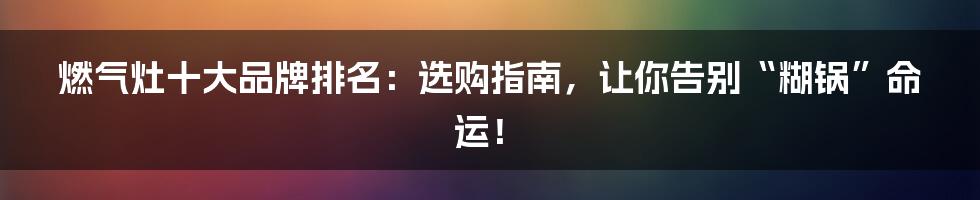 燃气灶十大品牌排名：选购指南，让你告别“糊锅”命运！