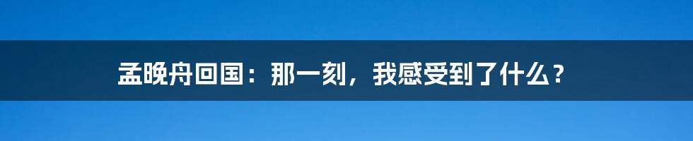 孟晚舟回国：那一刻，我感受到了什么？