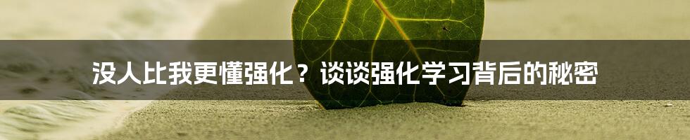 没人比我更懂强化？谈谈强化学习背后的秘密