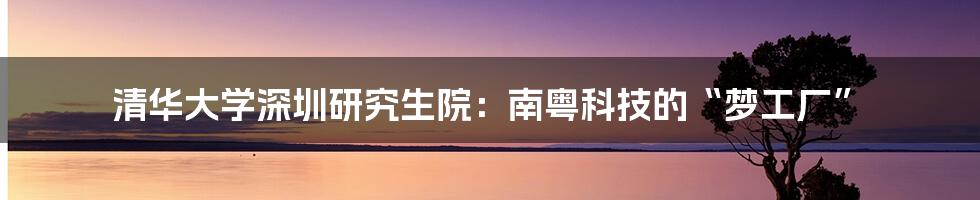 清华大学深圳研究生院：南粤科技的“梦工厂”