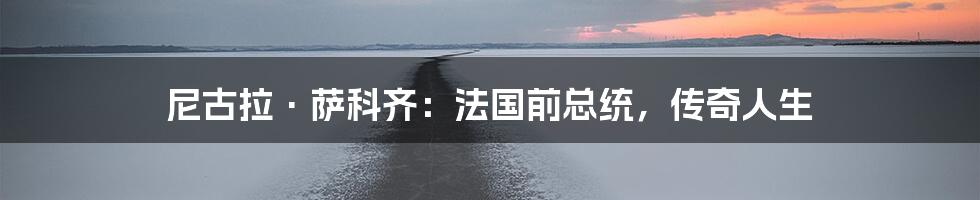 尼古拉·萨科齐：法国前总统，传奇人生