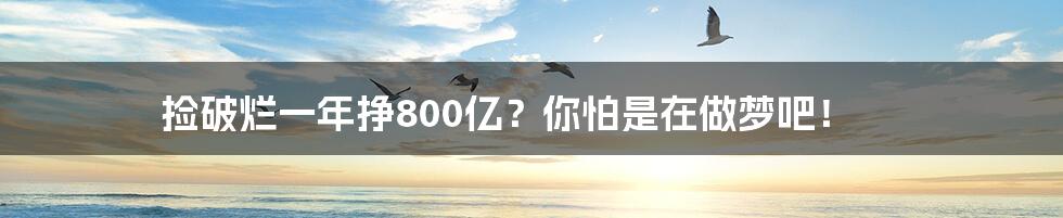 捡破烂一年挣800亿？你怕是在做梦吧！