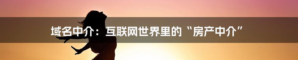 域名中介：互联网世界里的“房产中介”