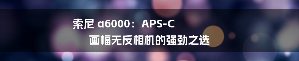 索尼 a6000：APS-C 画幅无反相机的强劲之选