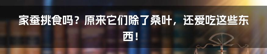 家蚕挑食吗？原来它们除了桑叶，还爱吃这些东西！