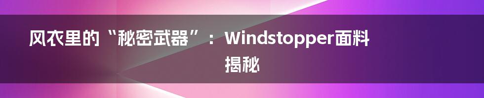 风衣里的“秘密武器”：Windstopper面料揭秘