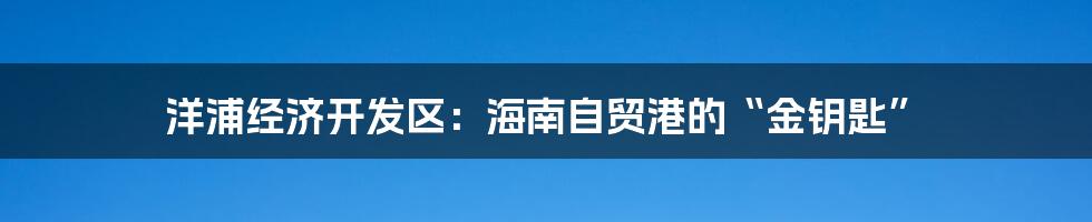 洋浦经济开发区：海南自贸港的“金钥匙”